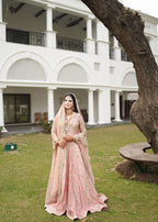 Gul